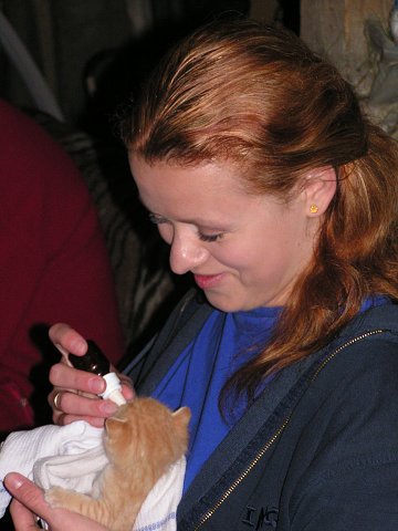 img00023.jpg
