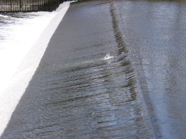 img00024.jpg