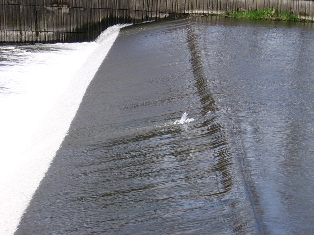img00025.jpg