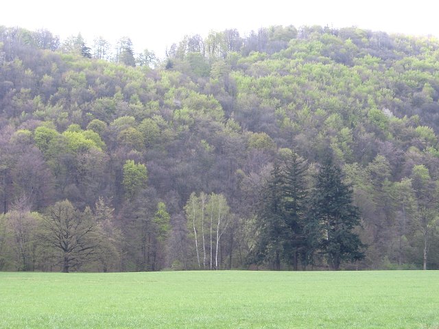 img00038.jpg