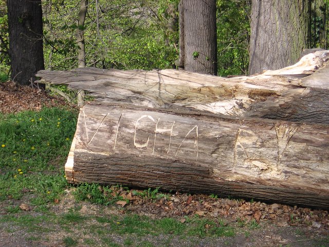 img00042.jpg