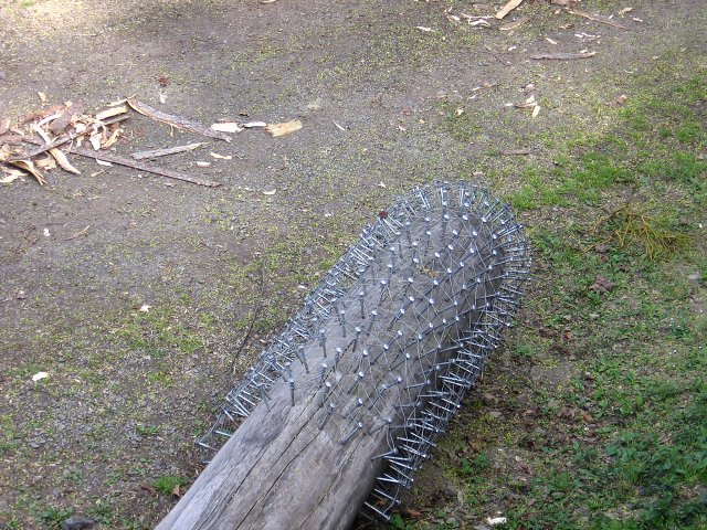 img00043.jpg