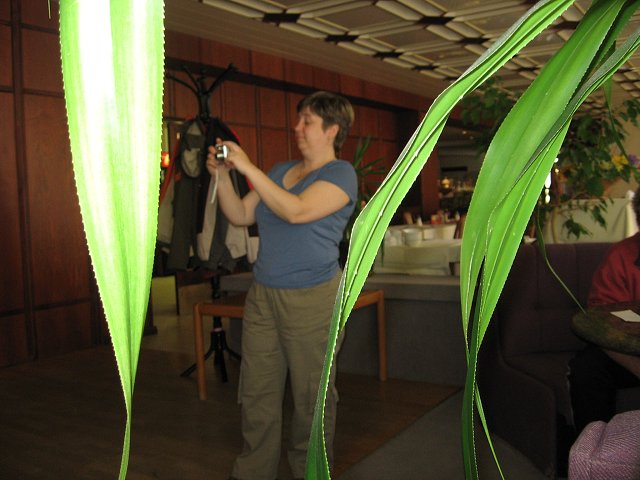 img00054.jpg