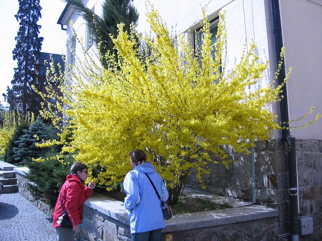 img00056.jpg