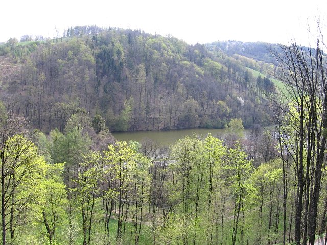 img00059.jpg