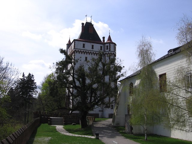 img00061.jpg
