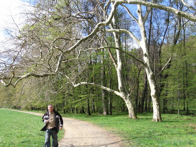 img00176.jpg