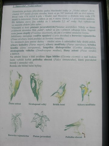 img00177.jpg