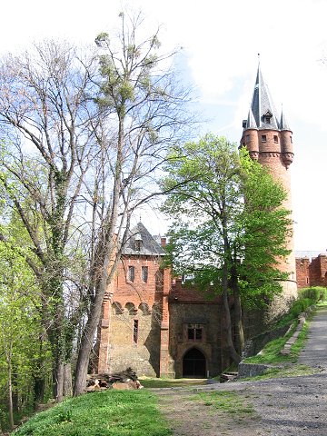 img00183.jpg