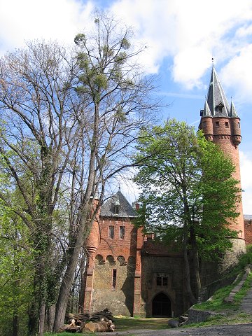 img00184.jpg