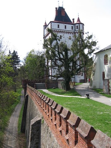img00203.jpg