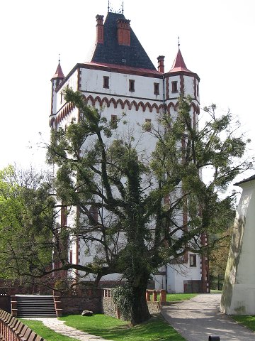 img00204.jpg