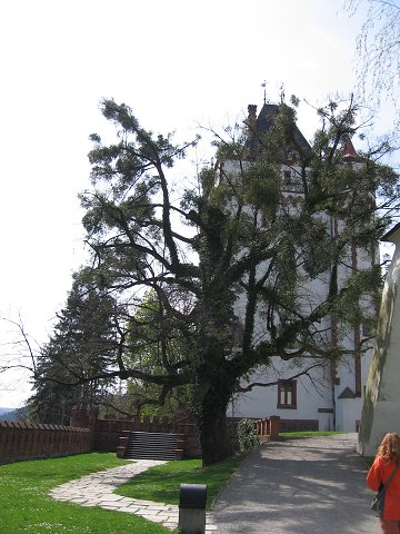 img00206.jpg