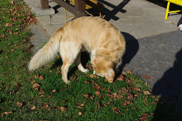 img00017.jpg