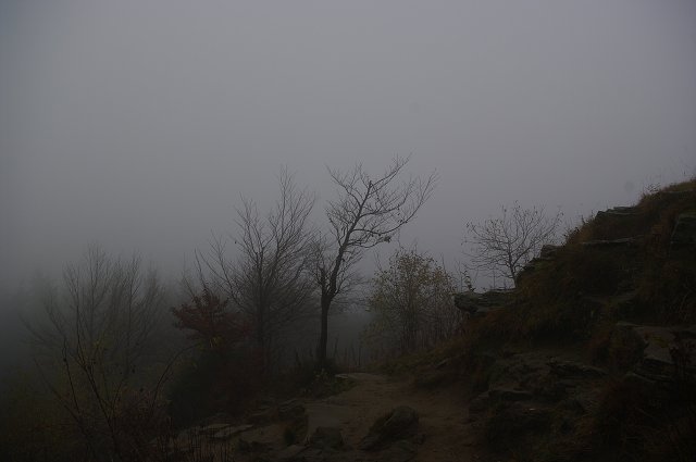 img00047.jpg