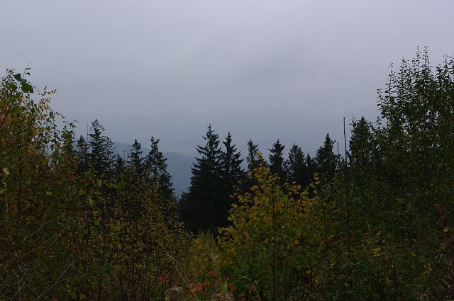 img00051.jpg